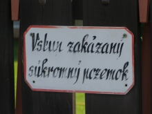 Ako vysporiadať pozemok pri rodinnom dome